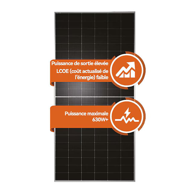 Visuel Module Tongwei 31-120001_3